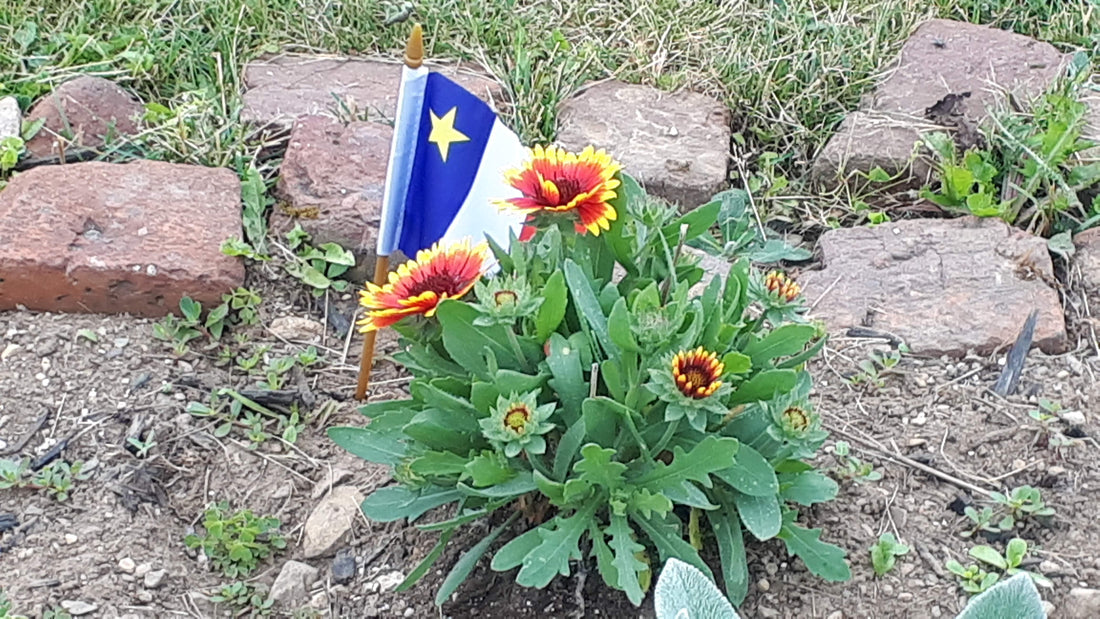 Acadian Days 2025 Aug 17