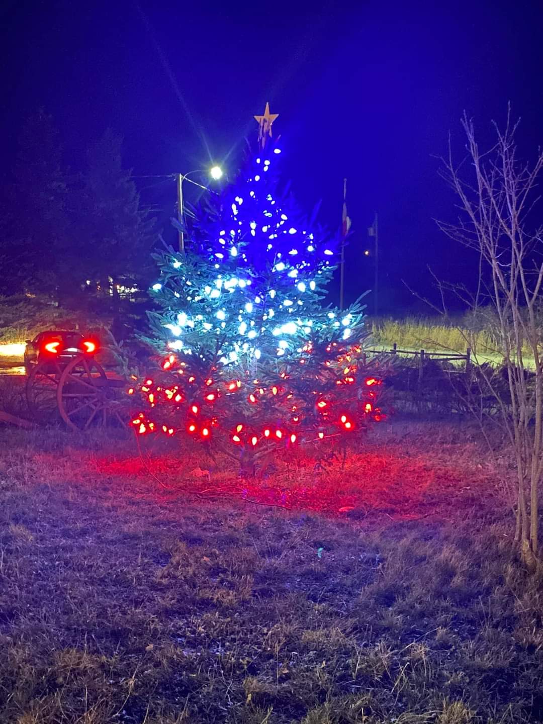 Acadian Christmas Tree Lighting